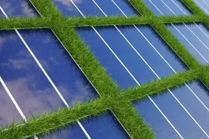 Read more about the article How environmentally friendly are solar panels?